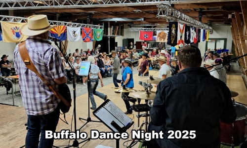 Buffalo_1