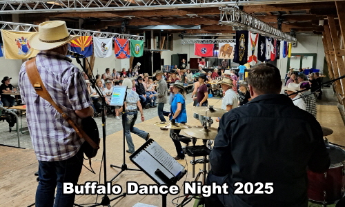 Buffalo_1