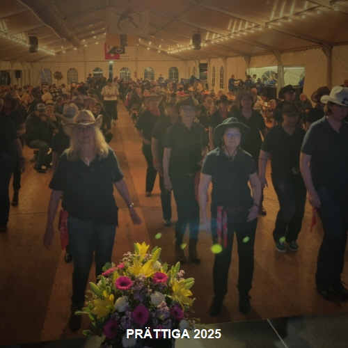 PRTTIGA_22